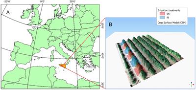 Combining proximal and remote sensing to assess ‘Calatina’ olive water status